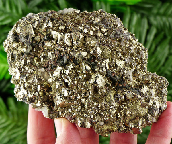 Amazing Big Shiny Pyrite Crystals with Chalcopyrite, Raw Crystal, Natural Mineral, Crystal Cluster B1500