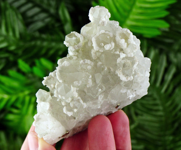 Clear Quartz with Calcite, Quartz Crystal, Raw Crystal, Natural Mineral, Crystal Cluster, Healing Crystal, Calcite B1501