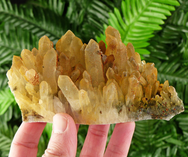 Very Nice Quartz with Iron Oxide, Quartz Crystal, Natural Mineral, Natural Crystal, Raw Crystals, Crystal Cluster, Quartz Cluster B2129