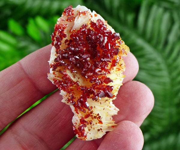 Red Vanadinite with Baryte, Red Crystal, Raw Crystal, Natural Mineral, Red Vanadinite from Morocco B2156