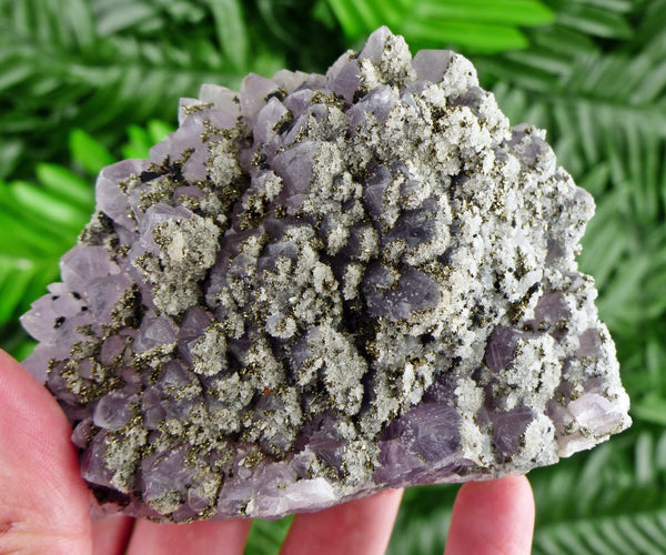 Rare Amethyst with Pyrite, Raw Crystal, Natural Mineral, Healing Crystal, Spirituality Crystal, Mineral Specimen B2192