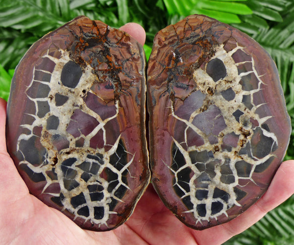 Big Septarian Nodule, Raw Crystal, Natural Mineral, Healing Crystal, Spirituality Crystal, Mineral Specimen B2200