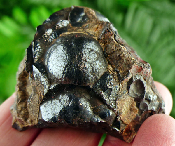 Hematite, Black Hematite, Raw Crystal, Natural Mineral, Spirituality Crystal, Mineral Specimen B1916