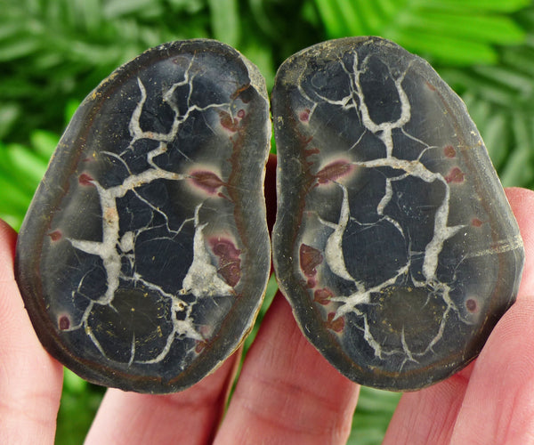 Dragonstones Pair, Septarian Nodule Geode, Septaria, Dragonstone, Aragonite, Septarian Nodules, Dragon Stone Healing Stone, Limestone B1929