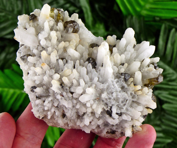 Quartz with Gem Sphalerite var. Cleiophane, Raw Mineral, Natural Crystal, Raw Crystals, Quartz Crystal, Gem Sphalerite B1790