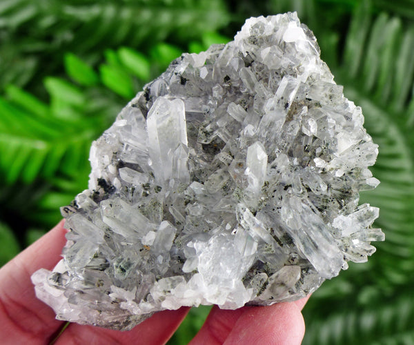 Amazing Clear Quartz with Chlorite, Raw Crystal, Natural Mineral, Healing Crystal, Spirituality Crystal, Mineral Specimen B2376