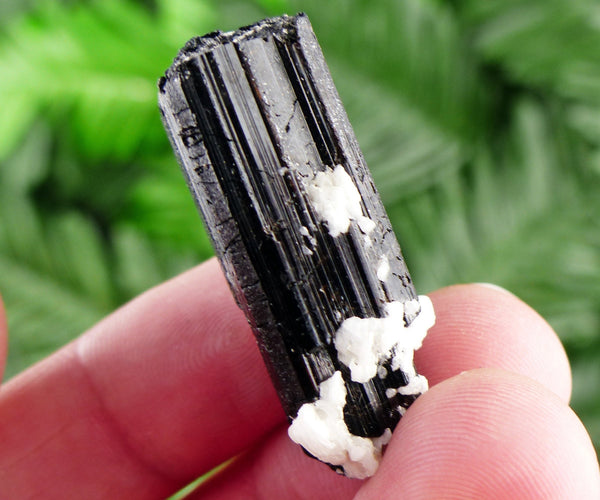 Black Tourmaline with Feldspar, Raw Crystal, Natural Mineral, Healing Crystal, Spirituality Crystal, Mineral Specimen B2235