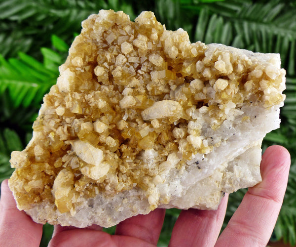 Rare Golden Baryte Crystals with Quartz, Raw Crystal, Natural Mineral, Healing Crystal, Spirituality Crystal, Mineral Specimen B2325