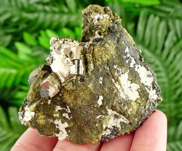 Amazing Chalcopyrite with Pyrite Crystal, Raw Crystal, Natural Mineral, Healing Crystal, Spirituality Crystal, Mineral Specimen B2399