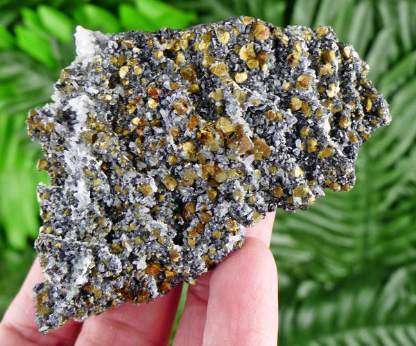 Amazing Chalcopyrite with Sphalerite and Quartz, Raw Crystal, Natural Mineral, Healing Crystal, Spirituality Crystal, Mineral Specimen B2287