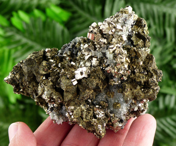 Amazing Chalcopyrite with Pyrite and Quartz Crystal, Raw Crystal, Healing Crystal, Spirituality Crystal, Mineral Specimen B2517