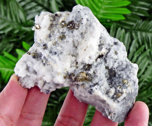 Rare Oil Green Gem Sphalerite on Quartz, Raw Crystal, Natural Mineral, Healing Crystal, Spirituality Crystal, Mineral Specimen B2256