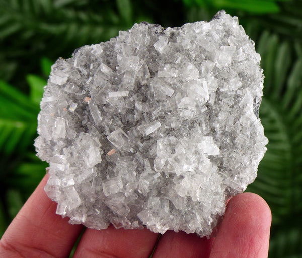 Amazing Clear Baryte with Pyrite, Raw Crystal, Natural Mineral, Healing Crystal, Spirituality Crystal, Mineral Specimen B2572