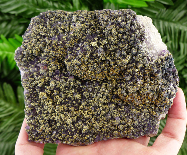 Only In Our Store Rare Amethyst with Chalcopyrite From Famous Chala Mine, Bulgaria, Crystal, Mineral B2580