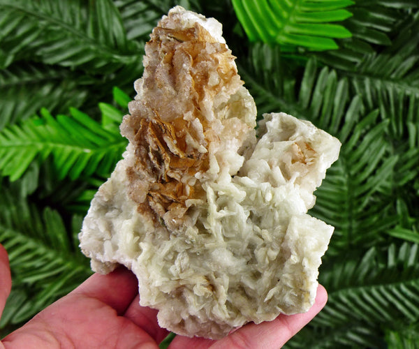 Amazing Two Generation Calcite Crystals with Chlorite, Raw Crystal, Natural Mineral, Healing Crystal, Spirituality, Mineral Specimen B2506