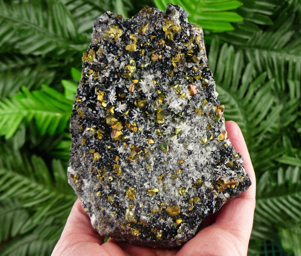 Amazing Iridescent Chalcopyrite with Sphalerite Crystals, Mineral, Natural Crystals, Quartz Crystal, Pyrite Crystal B2599