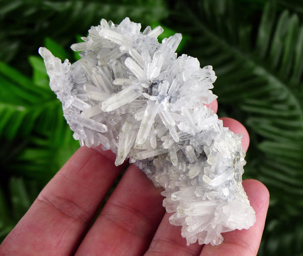 Amazing Quartz with Amazing Crystallization, Raw Crystal, Natural Mineral, Healing Crystal, Spirituality, Mineral  B2615