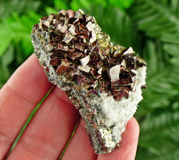 Amazing Quartz with Pyrite and Hematite, Raw Crystal, Natural Mineral, Spirituality Crystal, Mineral Specimen B2626