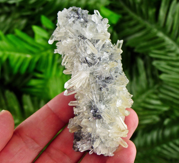 Amazing Clear Quartz with Galena Crystal, Raw Mineral, Natural Crystal, Raw Crystals, Stones B2625