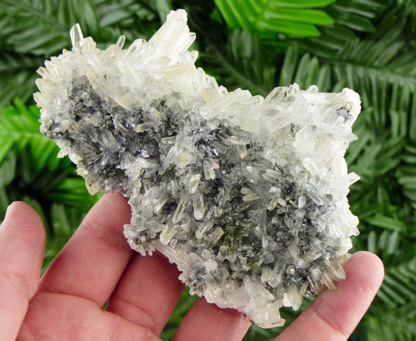 Amazing Clear Quartz with Chlorite , Raw Crystal, Natural Mineral, Spirituality Crystal, Mineral Specimen B2651