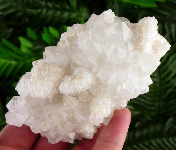 Amazing and Rare Clear Quartz Crystals partially covered with Calcite, Raw Crystal B2582