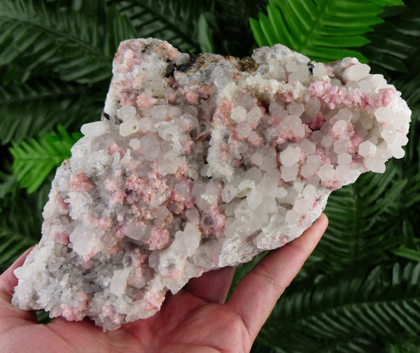 Rare Pink Rhodochrosite with Quartz , Pink Mineral, Raw Crystals, Pink Crystal B2608