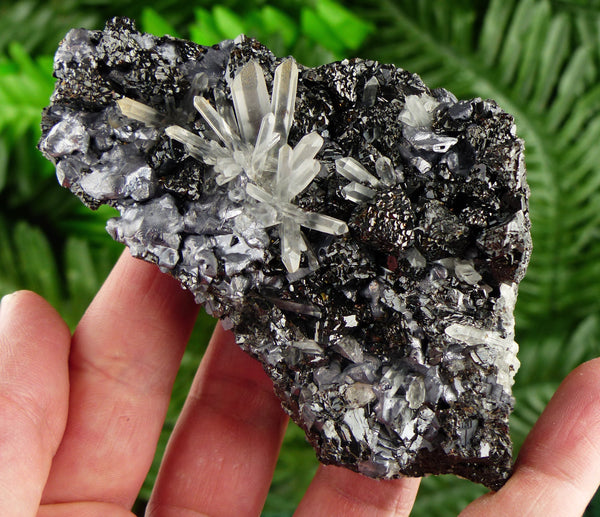 Amazing Shiny and Rare Sphalerite Crystals with Galena and Clear Quartz, Raw Crystal, Natural Mineral, Spirituality Crystals B2621