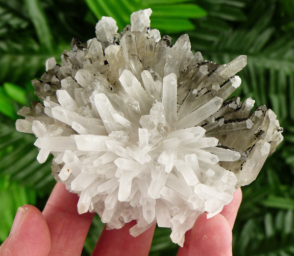 Amazing and Rare Milky Quartz with Chlorite, Raw Crystal, Natural Mineral, Healing Crystal, Spirituality Crystal B2667