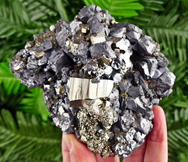 Amazing Galena with Pyrite Crystal, Mineral, Natural Crystals, Quartz Crystal, Pyrite Crystal B2721