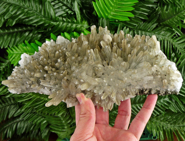 Amazing and Rare Clear Quartz with Chlorite, Raw Crystal, Natural Mineral, Healing Crystal, Spirituality Crystal B2783