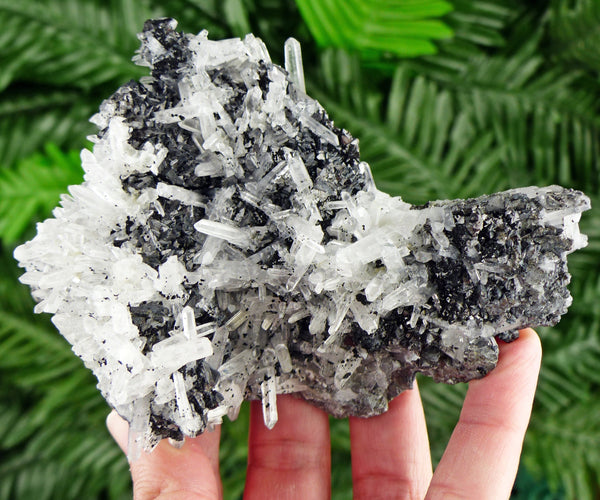 Amazing Quartz with Sphalerite, Raw Crystal, Natural Mineral, Healing Crystal, Spirituality Crystal, Mineral Specimen B2919