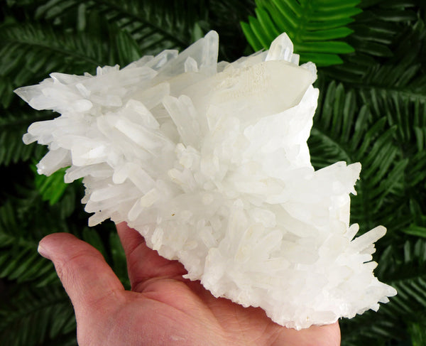 Museum Big Milky Quartz Crystals , Crystal, Mineral, Natural Crystal, Raw Crystals B2824