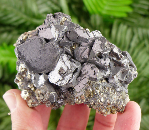 Amazing Galena with Pyrite Crystal, Mineral, Natural Crystals, Quartz Crystal, Pyrite Crystal B2838