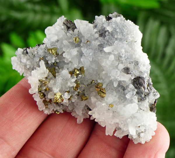 Rare Milky Quartz with Chalcopyrite, Natural Crystal, Raw Mineral, Crystal Cluster, Chalcopyrite B2987