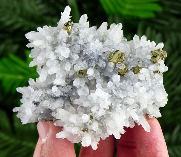 Amazing Quartz with Chalcopyrite , Crystal, Mineral, Natural Crystal, Crystals, Minerals, Pyrite B3320