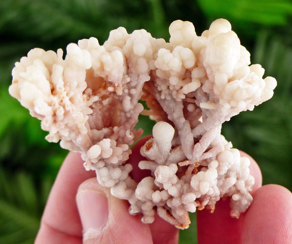 Amazing and Rare Aragonite Crystal like Flower, Raw Crystal, Natural Mineral, Healing Crystal, Spirituality Crystal, Mineral Specimen B3133