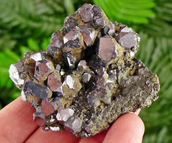 Amazing Galena with Sphalerite, Raw Crystal, Natural Mineral, Healing Crystal, Spirituality Crystal, Mineral Specimen B3189