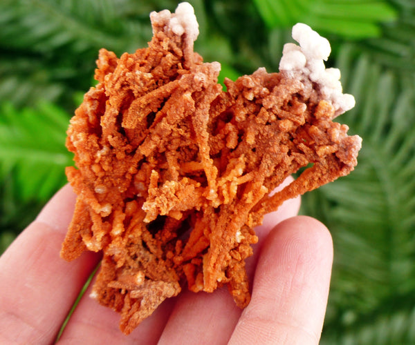 Amazing Aragonite Crystal, Raw Crystal, Natural Mineral, Healing Crystal, Spirituality Crystal, Mineral Specimen B3257