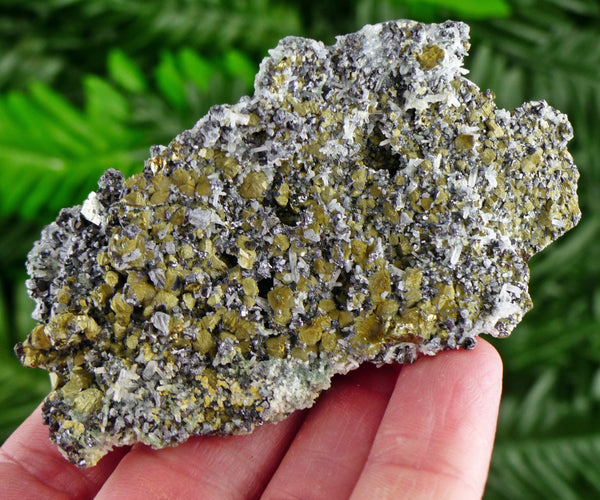 Amazing Chalcopyrite with Galena, Sphalerite, and Quartz, Raw Crystal, Natural Mineral, Healing Crystal, Mineral Specimen B2964