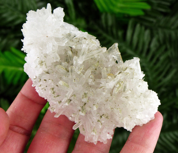 Clear Quartz with Chlorite , Raw Crystal, Natural Mineral, Spirituality Crystal, Mineral Specimen B1251