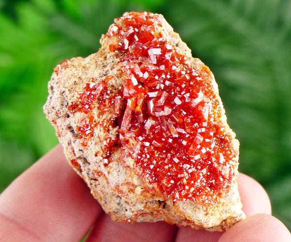 Red Vanadinite from Morocco, Raw Crystal, Natural Mineral, Spirituality Crystal, Mineral Specimen B3138