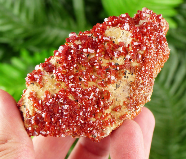 Red Vanadinite from Morocco, Raw Crystal, Natural Mineral, Spirituality Crystal, Mineral Specimen B3027