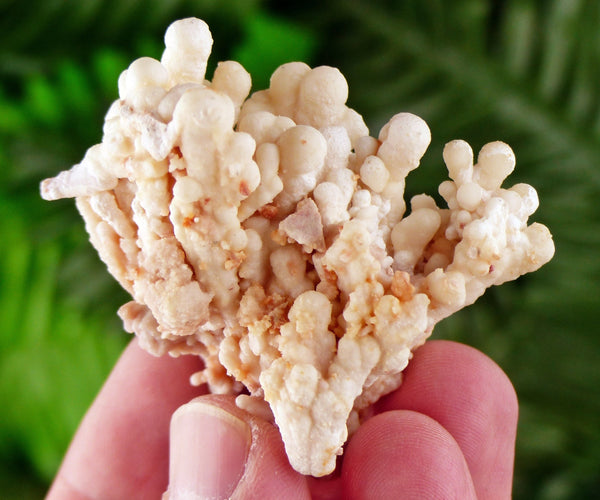 Amazing Aragonite Crystal, Raw Crystal, Natural Mineral, Healing Crystal, Mineral Specimen B3371