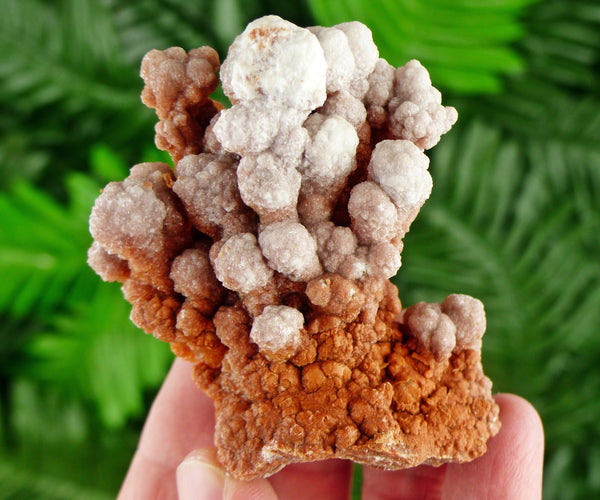 Amazing Aragonite Crystal, Raw Crystal, Natural Mineral, Healing Crystal, Spirituality Crystal, Mineral Specimen B3232