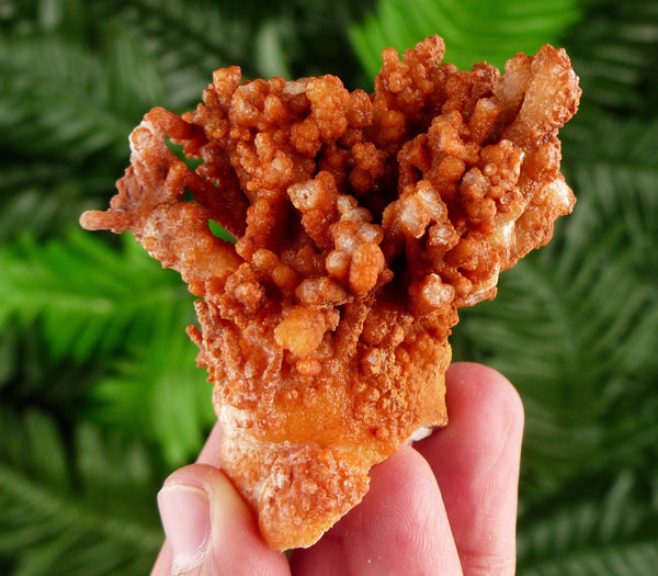 Amazing Aragonite Crystal, Raw Crystal, Natural Mineral, Healing Crystal, Spirituality Crystal, Mineral Specimen B3223