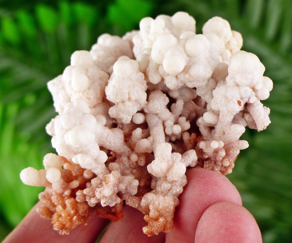 Amazing Aragonite Crystal, Raw Crystal, Natural Mineral, Healing Crystal, Mineral Specimen B3349