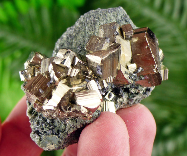 Amazing Pyrite with Chlorite, Raw Crystal, Natural Mineral, Healing Crystal, Mineral Specimen B3356