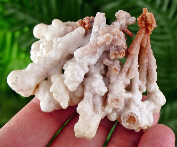 Amazing Aragonite Crystal, Raw Crystal, Natural Mineral, Healing Crystal, Mineral Specimen B3360