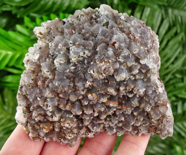 Rare Amazing Amethyst with Pyrite, Raw Crystal, Natural Mineral, Healing Crystal, Mineral Specimen B3370