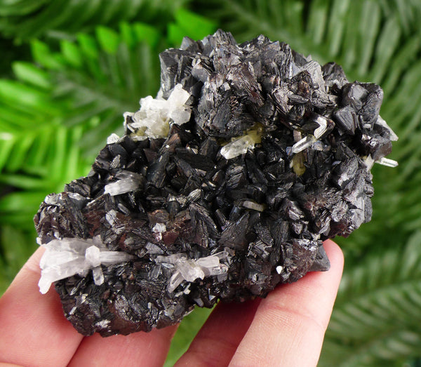 Amazing Sphalerite Tetrahedrons with Quartz, Raw Crystal, Natural Mineral, Spirituality Crystal, Mineral Specimen B3463